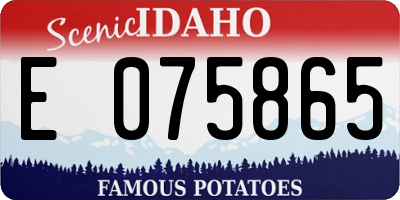 ID license plate E075865