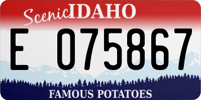 ID license plate E075867
