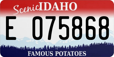 ID license plate E075868