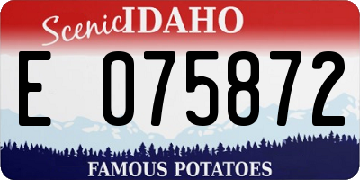 ID license plate E075872