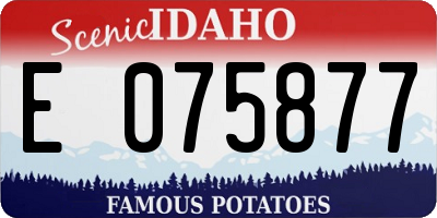 ID license plate E075877