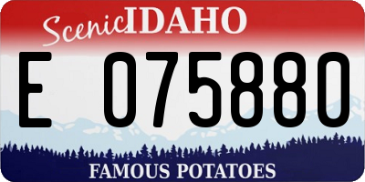 ID license plate E075880