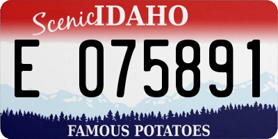 ID license plate E075891