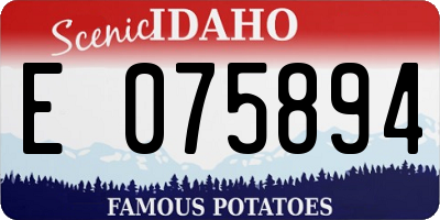 ID license plate E075894