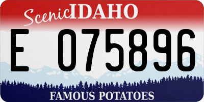 ID license plate E075896