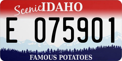 ID license plate E075901