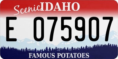 ID license plate E075907