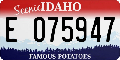 ID license plate E075947