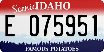 ID license plate E075951