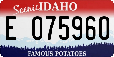 ID license plate E075960