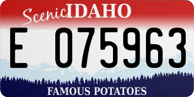 ID license plate E075963