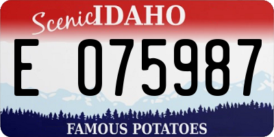 ID license plate E075987