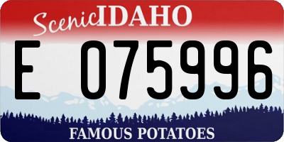 ID license plate E075996