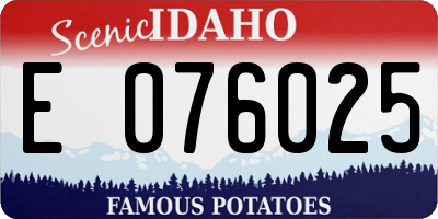ID license plate E076025