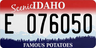 ID license plate E076050