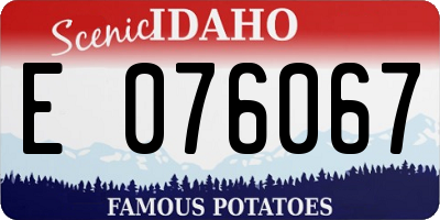 ID license plate E076067