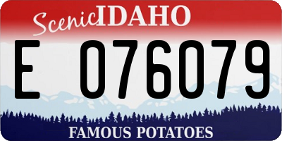 ID license plate E076079
