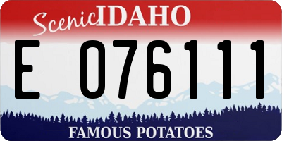 ID license plate E076111