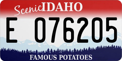 ID license plate E076205