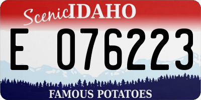 ID license plate E076223