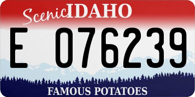 ID license plate E076239