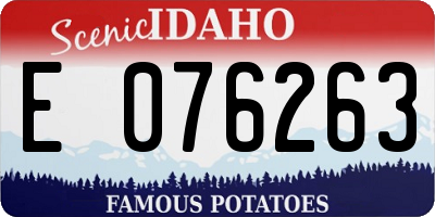 ID license plate E076263