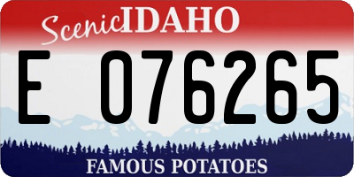 ID license plate E076265