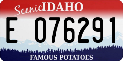 ID license plate E076291
