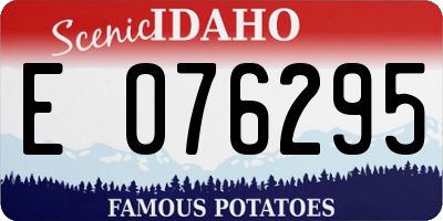 ID license plate E076295