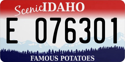 ID license plate E076301