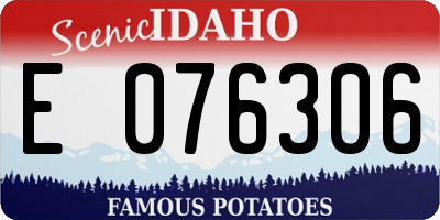 ID license plate E076306