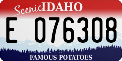 ID license plate E076308