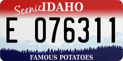 ID license plate E076311