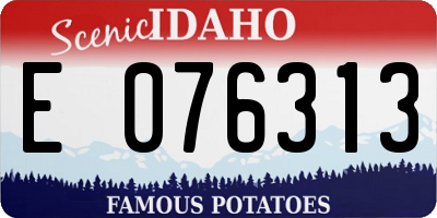 ID license plate E076313