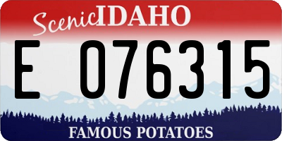 ID license plate E076315