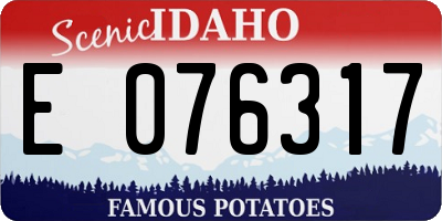ID license plate E076317