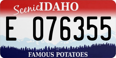 ID license plate E076355