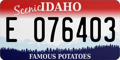 ID license plate E076403