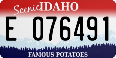 ID license plate E076491