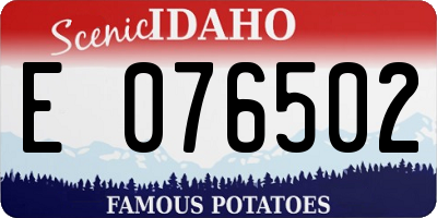 ID license plate E076502