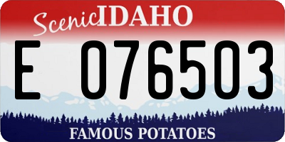 ID license plate E076503