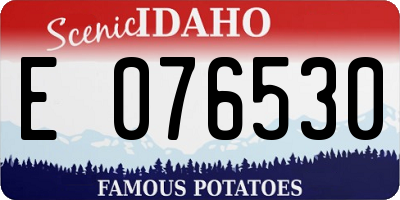 ID license plate E076530