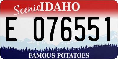 ID license plate E076551