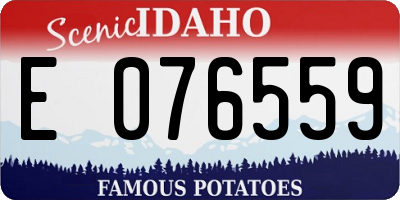 ID license plate E076559