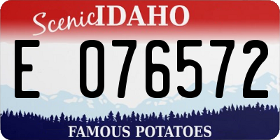 ID license plate E076572