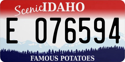 ID license plate E076594