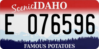 ID license plate E076596