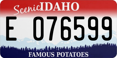 ID license plate E076599