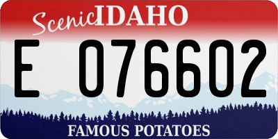 ID license plate E076602
