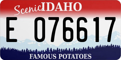 ID license plate E076617